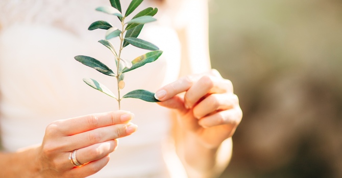 In-Person Counselling